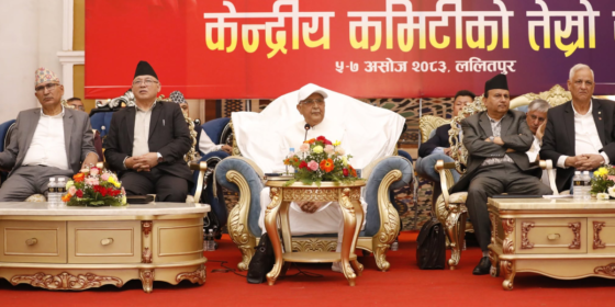 एमाले केन्द्रीय कमिटी बैठक सम्पन्न, भण्डारी वरिष्ठ नेतामा मनोनीत